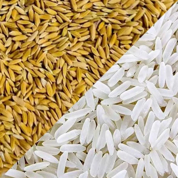 Katarni Rice from Bhagalpur